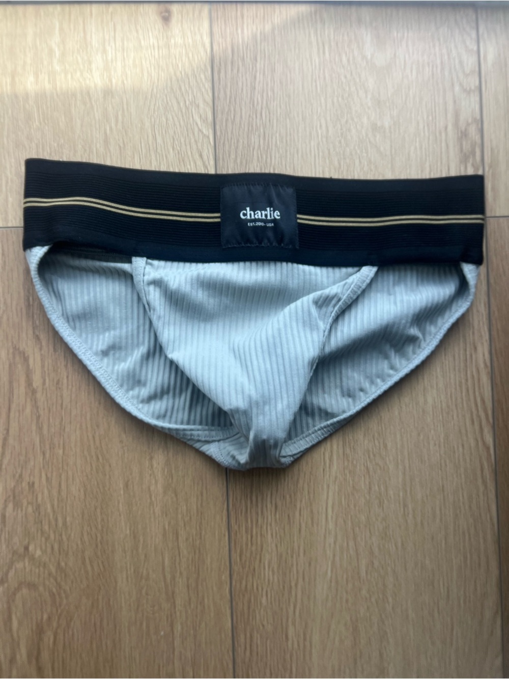 Charlie by Matthew Zinc Pro Sport brief Size M